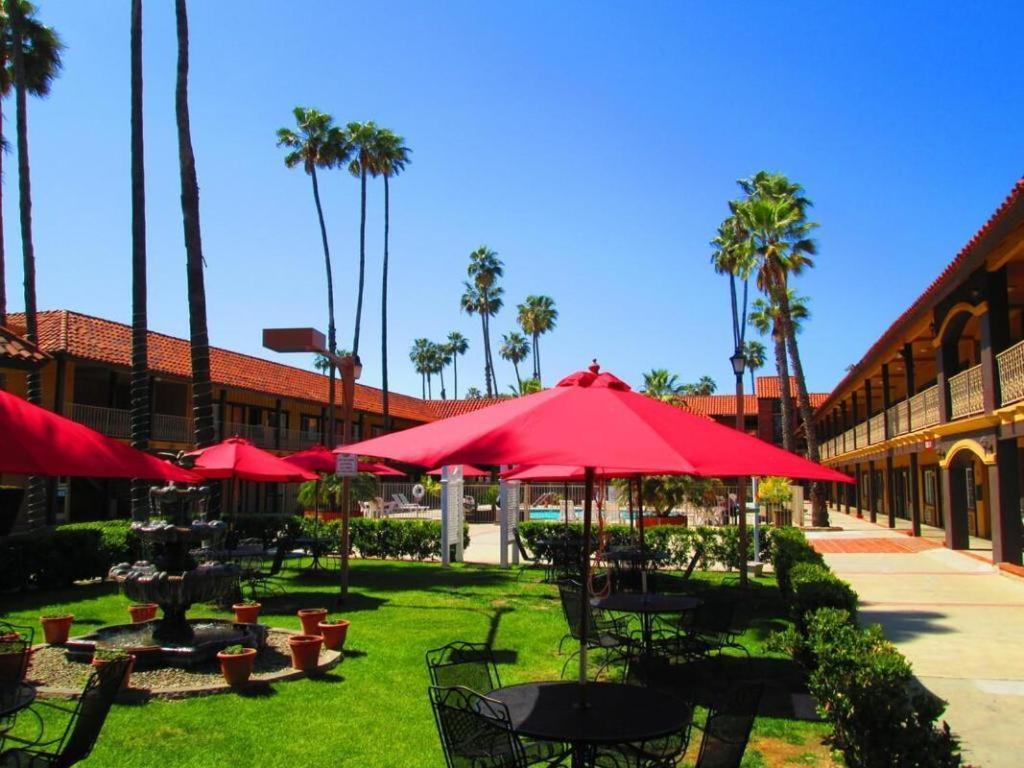 Saddleback